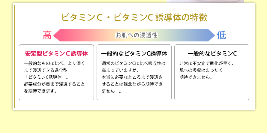 安定型ビタミンC誘導体のお肌への浸透性は、ビタミンC・一般的なビタミンC誘導体とは比べものにならないほど高いのです。