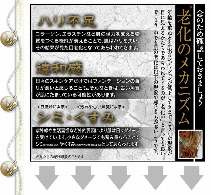 シュウファビアン Aソープ
